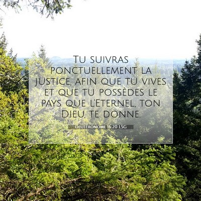 Picture 07 - Deutéronome 16:20 LSG - Tu suivras ponctuellement la justice, afin que tu - Bible Verse Picture