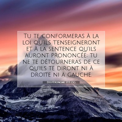 Picture 07 - Deutéronome 17:11 LSG - Tu te conformeras à la loi qu'ils t'enseigneront - Bible Verse Picture