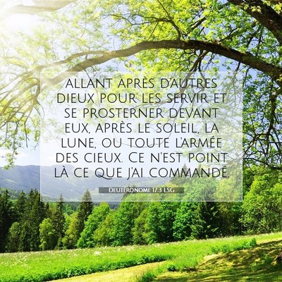 Picture 07 - Deutéronome 17:3 LSG - allant après d'autres dieux pour les servir et - Bible Verse Picture