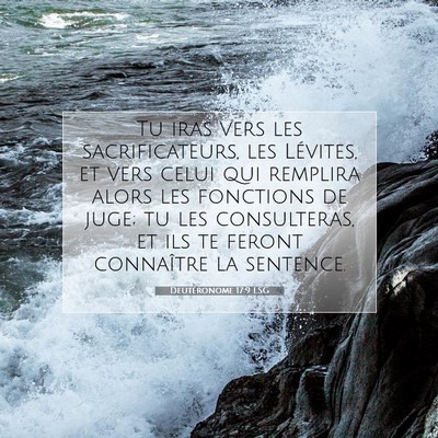 Picture 07 - Deutéronome 17:9 LSG - Tu iras vers les sacrificateurs, les Lévites, et - Bible Verse Picture