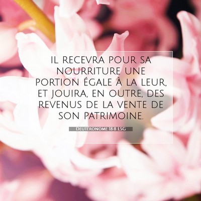 Picture 07 - Deutéronome 18:8 LSG - il recevra pour sa nourriture une portion égale - Bible Verse Picture
