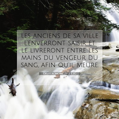 Picture 07 - Deutéronome 19:12 LSG - les anciens de sa ville l'enverront saisir et le - Bible Verse Picture