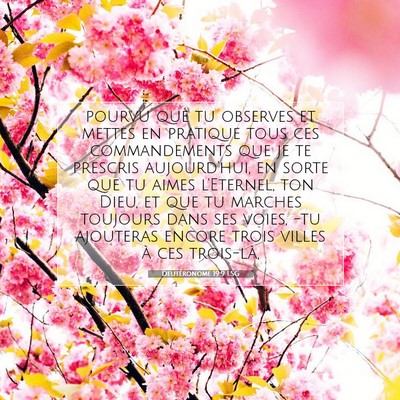 Picture 07 - Deutéronome 19:9 LSG - pourvu que tu observes et mettes en pratique tous - Bible Verse Picture