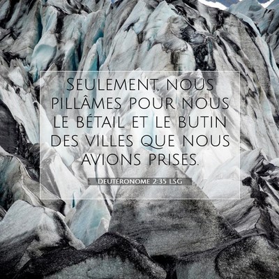 Picture 07 - Deutéronome 2:35 LSG - Seulement, nous pillâmes pour nous le bétail et - Bible Verse Picture