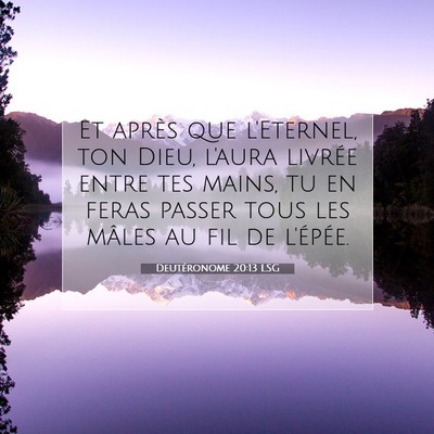 Picture 07 - Deutéronome 20:13 LSG - Et après que l'Eternel, ton Dieu, l'aura livrée - Bible Verse Picture