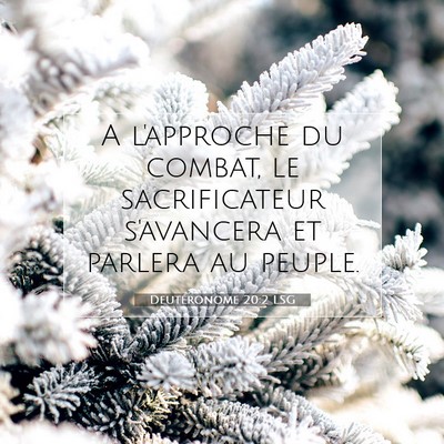 Picture 07 - Deutéronome 20:2 LSG - A l'approche du combat, le sacrificateur - Bible Verse Picture