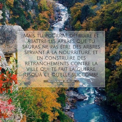 Picture 07 - Deutéronome 20:20 LSG - Mais tu pourras détruire et abattre les arbres - Bible Verse Picture