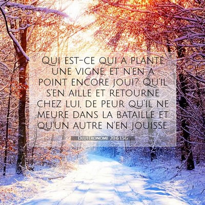 Picture 07 - Deutéronome 20:6 LSG - Qui est-ce qui a planté une vigne, et n'en a - Bible Verse Picture