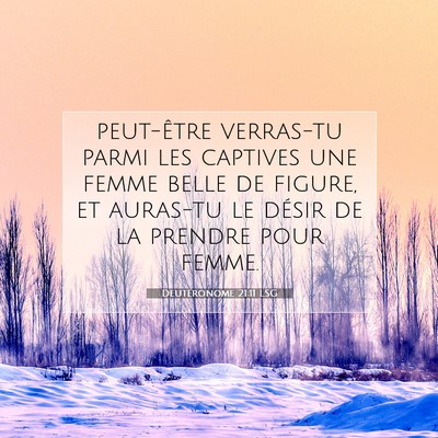 Picture 07 - Deutéronome 21:11 LSG - peut-être verras-tu parmi les captives une femme - Bible Verse Picture
