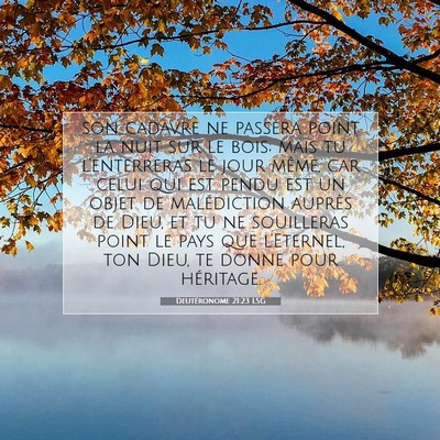 Picture 07 - Deutéronome 21:23 LSG - son cadavre ne passera point la nuit sur le bois; - Bible Verse Picture