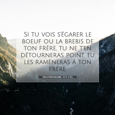 Picture 07 - Deutéronome 22:1 LSG - Si tu vois s'égarer le boeuf ou la brebis de ton - Bible Verse Picture
