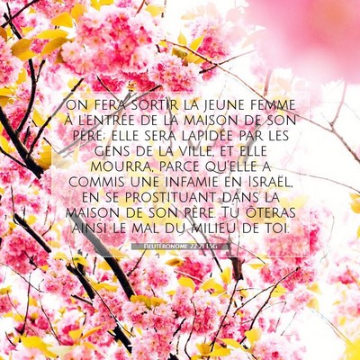 Picture 07 - Deutéronome 22:21 LSG - on fera sortir la jeune femme à l'entrée de la - Bible Verse Picture