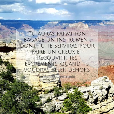 Picture 07 - Deutéronome 23:13 LSG - Tu auras parmi ton bagage un instrument, dont tu - Bible Verse Picture