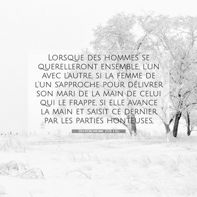 Picture 07 - Deutéronome 25:11 LSG - Lorsque des hommes se querelleront ensemble, l'un - Bible Verse Picture