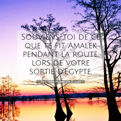 Picture 07 - Deutéronome 25:17 LSG - Souviens-toi de ce que te fit Amalek pendant la - Bible Verse Picture