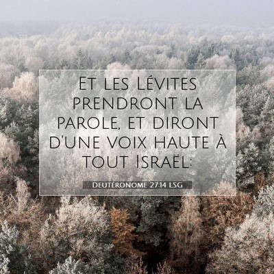Picture 07 - Deutéronome 27:14 LSG - Et les Lévites prendront la parole, et diront - Bible Verse Picture