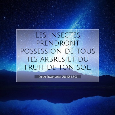 Picture 07 - Deutéronome 28:42 LSG - Les insectes prendront possession de tous tes - Bible Verse Picture