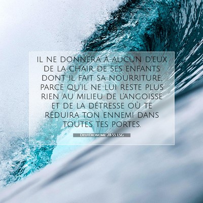 Picture 07 - Deutéronome 28:55 LSG - il ne donnera à aucun d'eux de la chair de ses - Bible Verse Picture