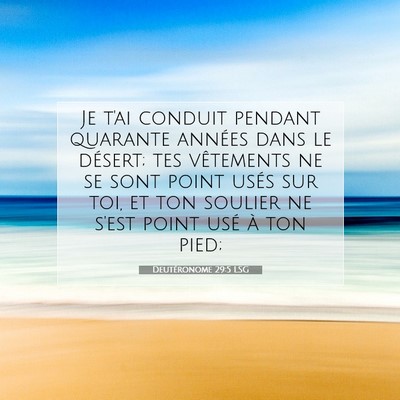 Picture 07 - Deutéronome 29:5 LSG - Je t'ai conduit pendant quarante années dans le - Bible Verse Picture