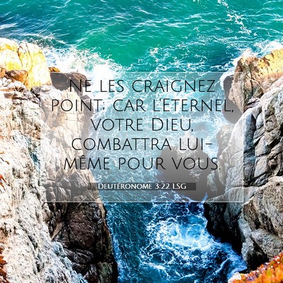 Picture 07 - Deutéronome 3:22 LSG - Ne les craignez point; car l'Eternel, votre Dieu, - Bible Verse Picture