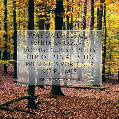 Picture 07 - Deutéronome 32:11 LSG - Pareil à l'aigle qui éveille sa couvée, - Bible Verse Picture