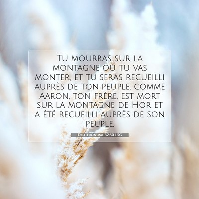Picture 07 - Deutéronome 32:50 LSG - Tu mourras sur la montagne où tu vas monter, et - Bible Verse Picture