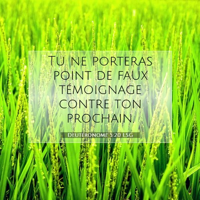 Picture 07 - Deutéronome 5:20 LSG - Tu ne porteras point de faux témoignage contre - Bible Verse Picture