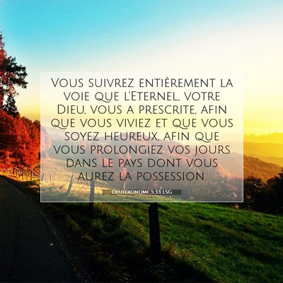 Picture 07 - Deutéronome 5:33 LSG - Vous suivrez entièrement la voie que l'Eternel, - Bible Verse Picture