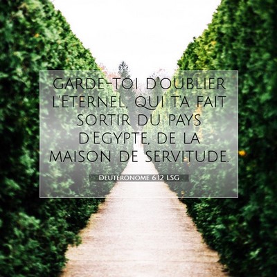 Picture 07 - Deutéronome 6:12 LSG - garde-toi d'oublier l'Eternel, qui t'a fait - Bible Verse Picture