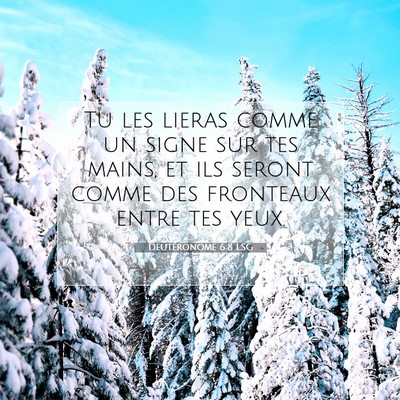 Picture 07 - Deutéronome 6:8 LSG - Tu les lieras comme un signe sur tes mains, et - Bible Verse Picture