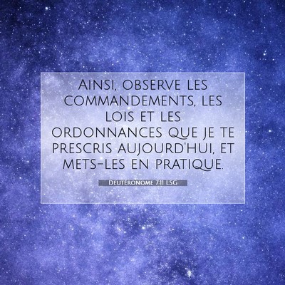 Picture 07 - Deutéronome 7:11 LSG - Ainsi, observe les commandements, les lois et les - Bible Verse Picture