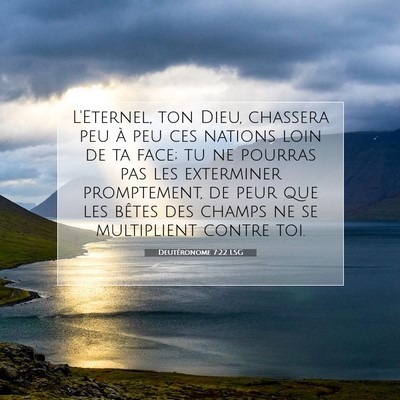 Picture 07 - Deutéronome 7:22 LSG - L'Eternel, ton Dieu, chassera peu à peu ces - Bible Verse Picture