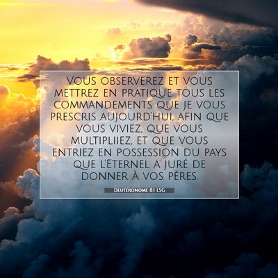 Picture 07 - Deutéronome 8:1 LSG - Vous observerez et vous mettrez en pratique tous - Bible Verse Picture