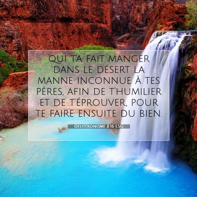 Picture 07 - Deutéronome 8:16 LSG - qui t'a fait manger dans le désert la manne - Bible Verse Picture