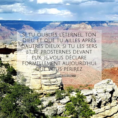 Picture 07 - Deutéronome 8:19 LSG - Si tu oublies l'Eternel, ton Dieu, et que tu - Bible Verse Picture