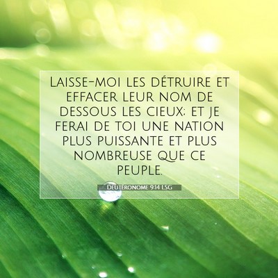 Picture 07 - Deutéronome 9:14 LSG - Laisse-moi les détruire et effacer leur nom de - Bible Verse Picture