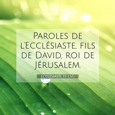 Picture 07 - Ecclésiaste 1:1 LSG - Paroles de l'Ecclésiaste, fils de David, roi de - Bible Verse Picture