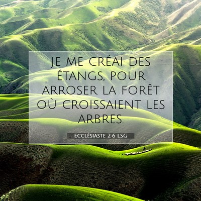 Picture 07 - Ecclésiaste 2:6 LSG - je me créai des étangs, pour arroser la forêt - Bible Verse Picture