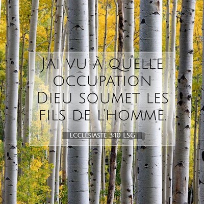 Picture 07 - Ecclésiaste 3:10 LSG - J'ai vu à quelle occupation Dieu soumet les fils - Bible Verse Picture