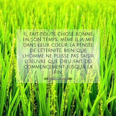 Picture 07 - Ecclésiaste 3:11 LSG - Il fait toute chose bonne en son temps; même il - Bible Verse Picture