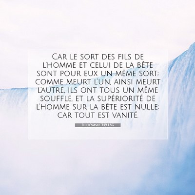 Picture 07 - Ecclésiaste 3:19 LSG - Car le sort des fils de l'homme et celui de la - Bible Verse Picture