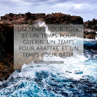 Picture 07 - Ecclésiaste 3:3 LSG - un temps pour tuer, et un temps pour guérir; un - Bible Verse Picture