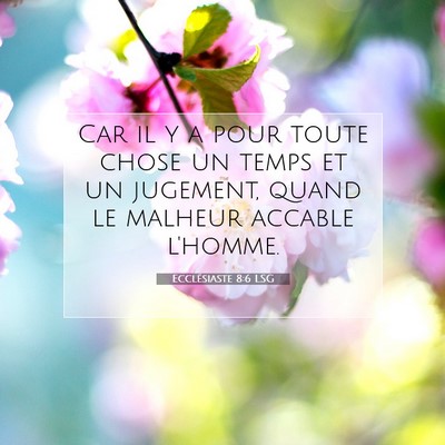 Picture 07 - Ecclésiaste 8:6 LSG - Car il y a pour toute chose un temps et un - Bible Verse Picture