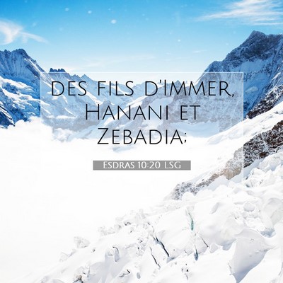 Picture 07 - Esdras 10:20 LSG - des fils d'Immer, Hanani et - Bible Verse Picture