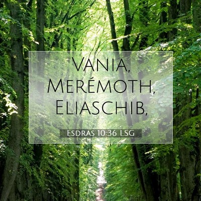 Picture 07 - Esdras 10:36 LSG - Vania, Merémoth, - Bible Verse Picture