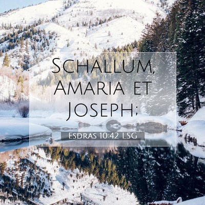 Picture 07 - Esdras 10:42 LSG - Schallum, Amaria et - Bible Verse Picture