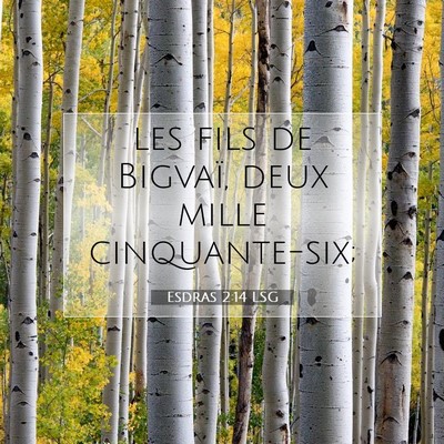 Picture 07 - Esdras 2:14 LSG - les fils de Bigvaï, deux mille - Bible Verse Picture