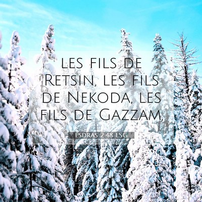 Picture 07 - Esdras 2:48 LSG - les fils de Retsin, les fils de Nekoda, les fils - Bible Verse Picture
