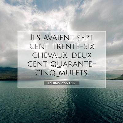 Picture 07 - Esdras 2:66 LSG - Ils avaient sept cent trente-six chevaux, deux - Bible Verse Picture