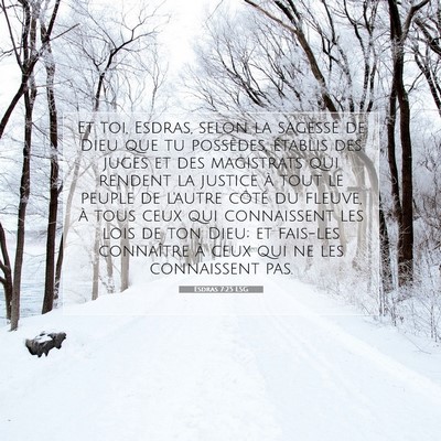 Picture 07 - Esdras 7:25 LSG - Et toi, Esdras, selon la sagesse de Dieu que tu - Bible Verse Picture